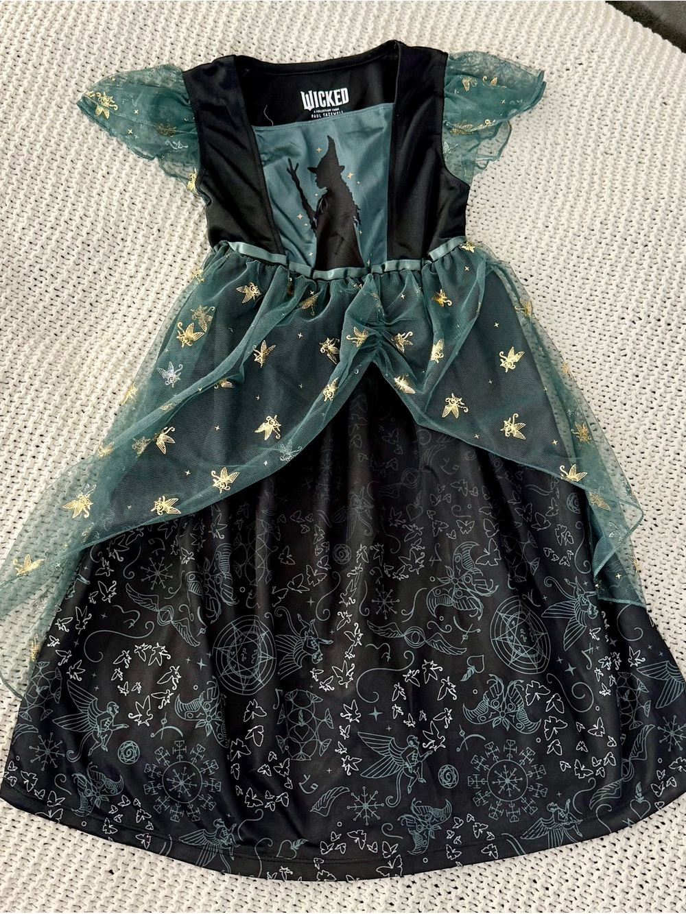 NWOT Wicked dress/nightgown from Target x Paul Tazewell collection